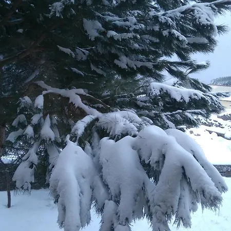 호텔 Rural La Dehesilla